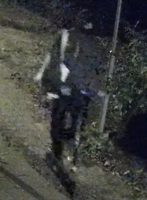 20242548061