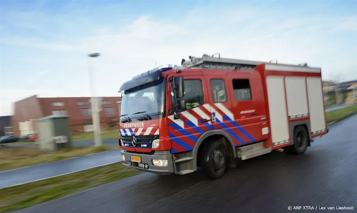 anp241124174 1