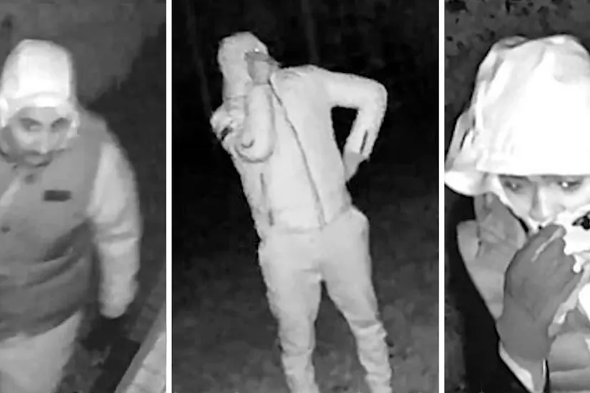 drieluik 3x ve woninginbraak de slenk gemert