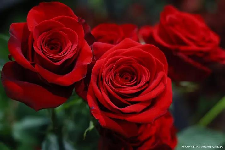 anp150525105 1