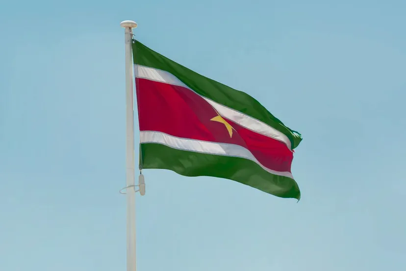 pexels-aboodi-13966908