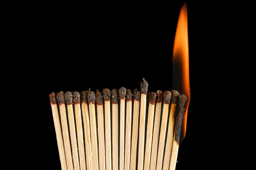 pexels-christopher-welsch-leveroni-2150186467-34891394