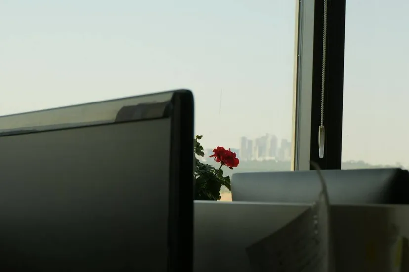 artikel_4972_afbeelding