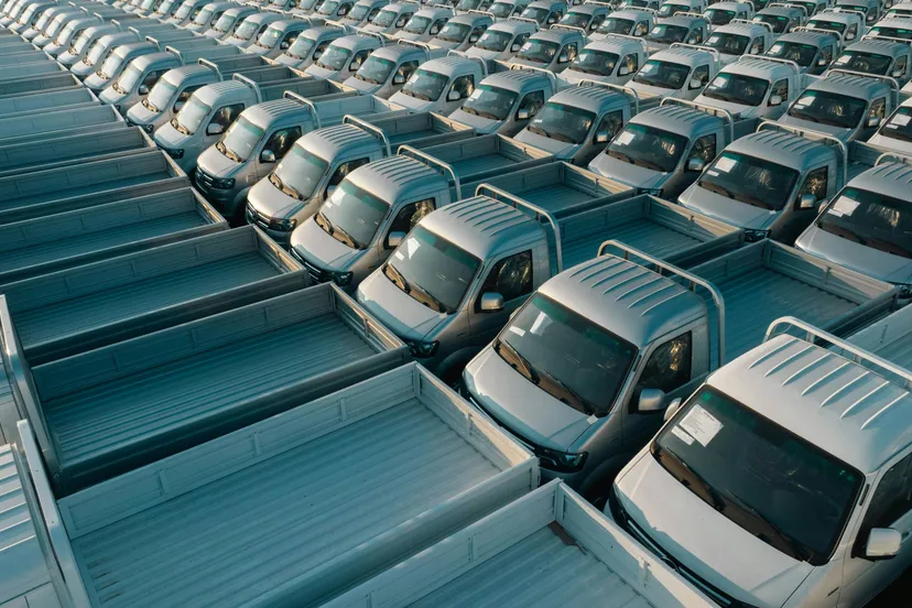 pexels-alshreef-33623773