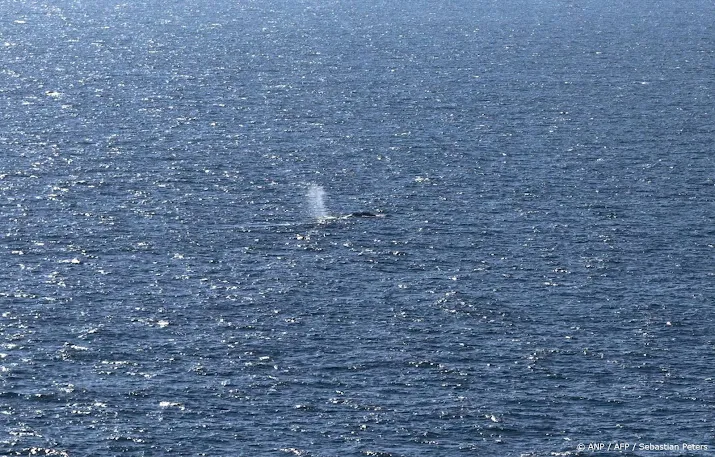 anp150526088 1