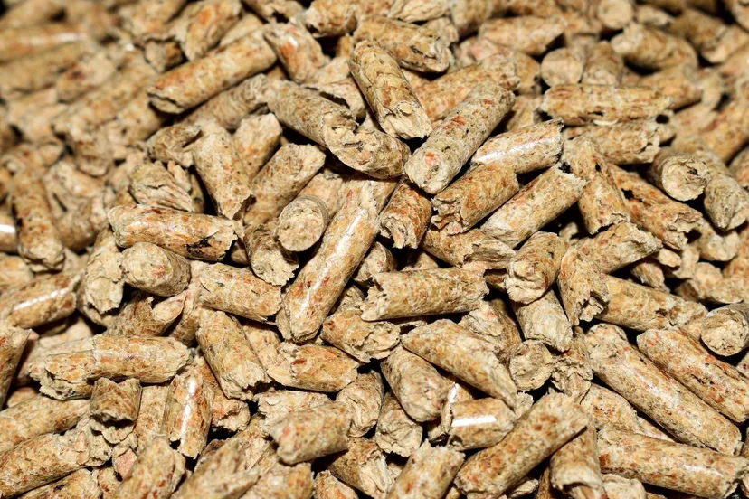 mrdidg-pellets-4844847_1920