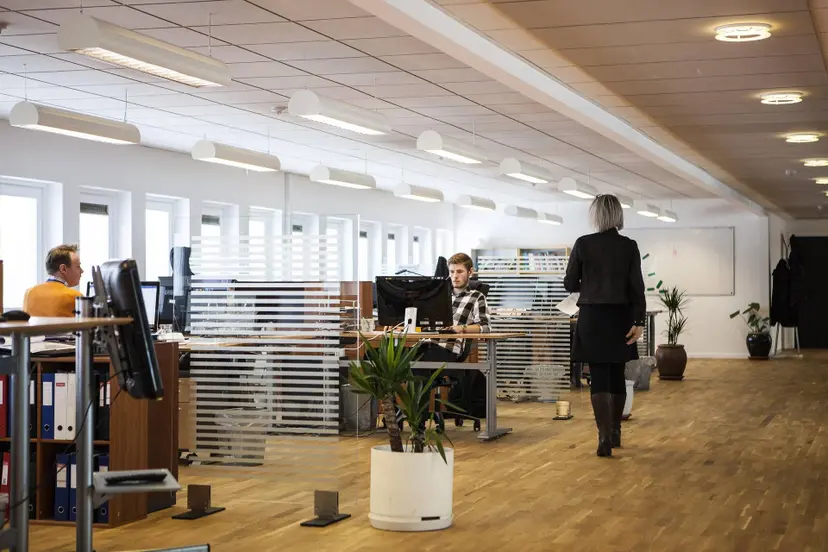 louisehoffmann83-office-2360063_1920