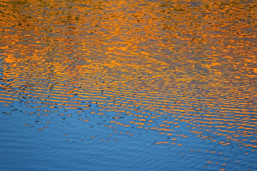 220803WATERVIJVERPIXABAY