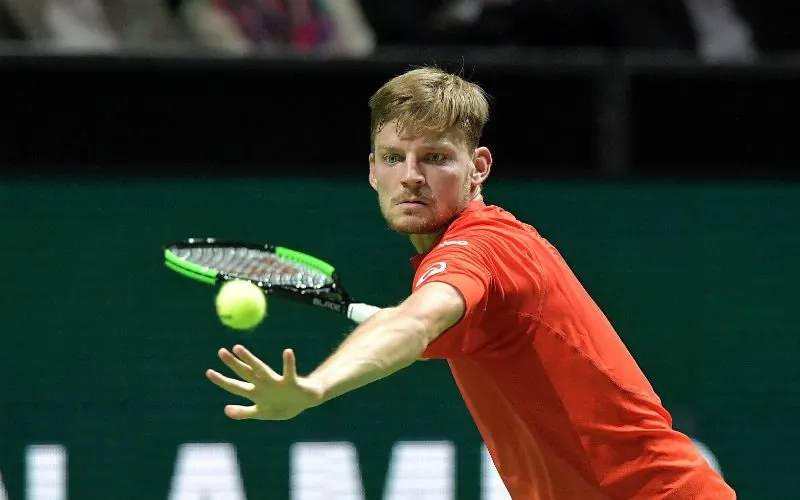 David Goffin