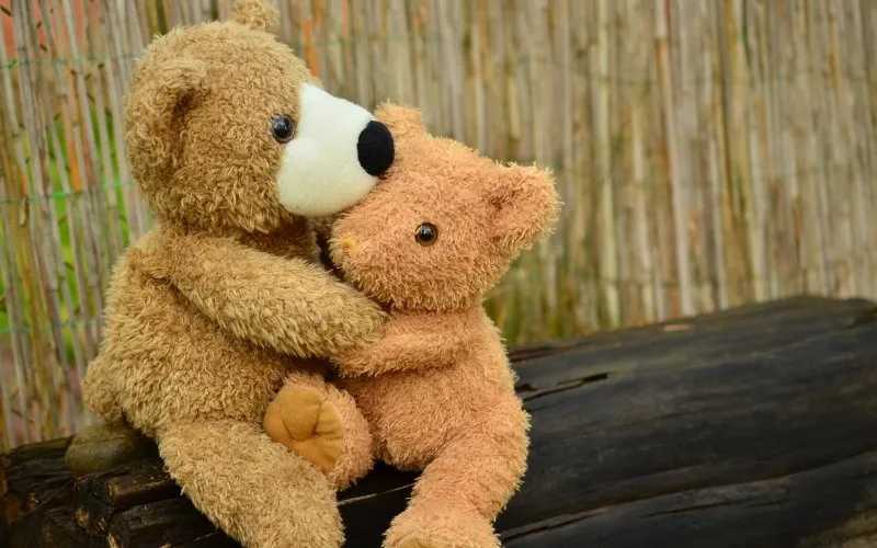 TeddybeerPixabay