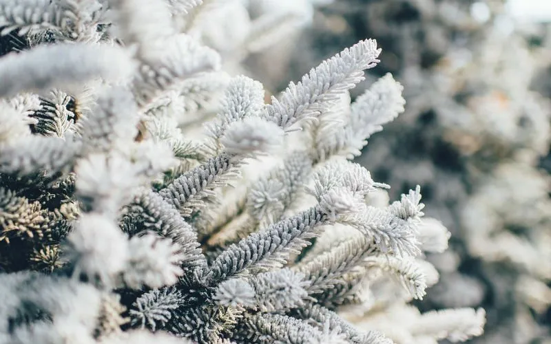 WinterPixabay