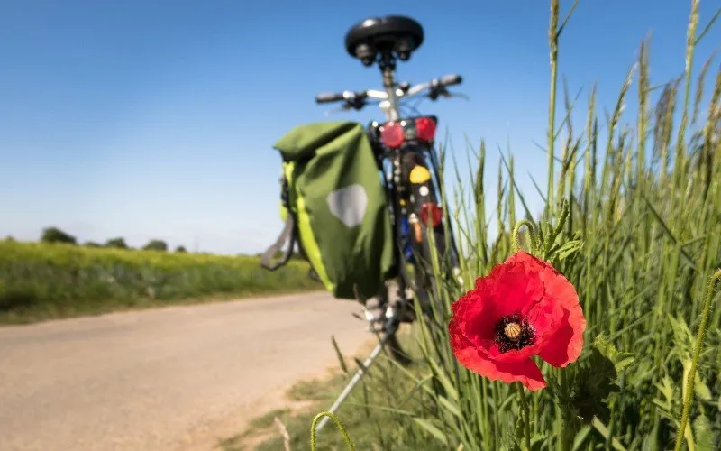 fietspixabay