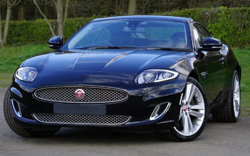 jaguar