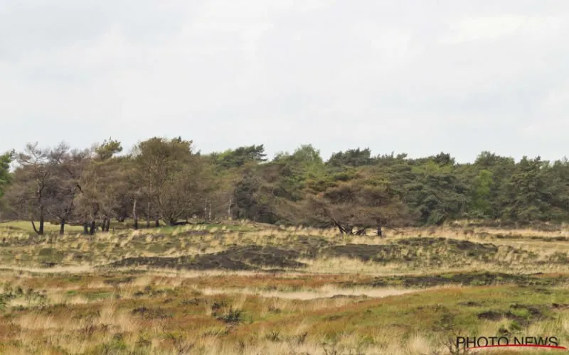 kalmthoutseheide