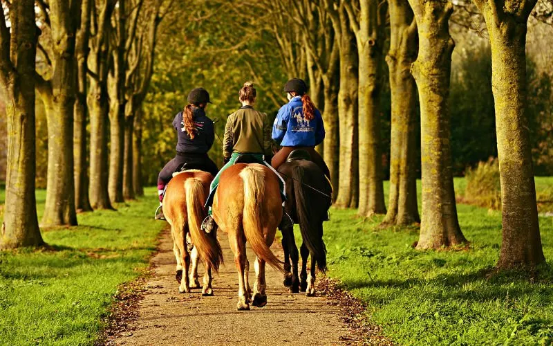 paardenruiterspixabay
