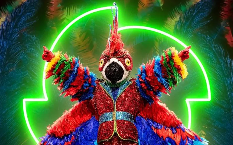 papegaaithemaskedsingerVTM
