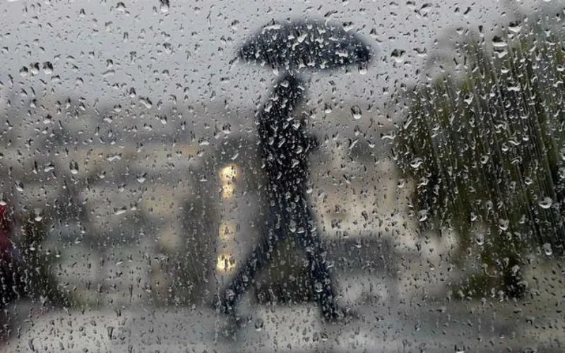 rain generic umbrella raindrops