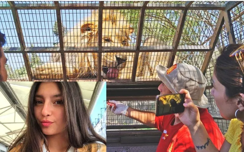 safariparkDAILYSTAR