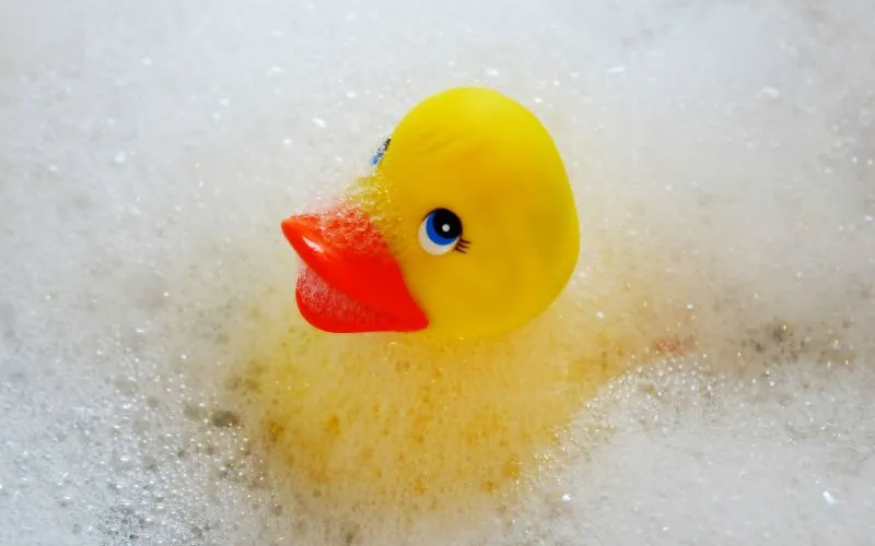 swim 2454609 1280