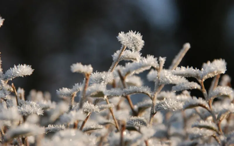 winter 1414922 1920