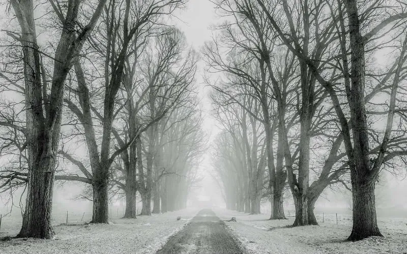 winter 1890653 1280