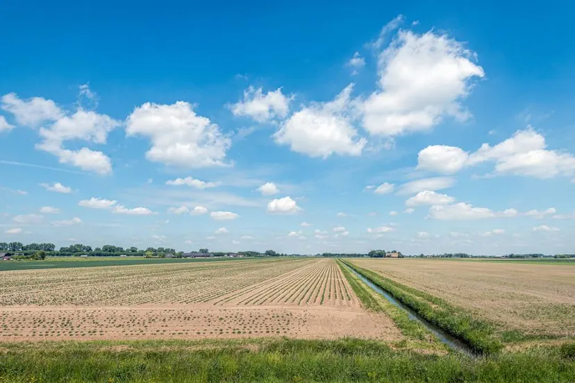250616drooglandschap