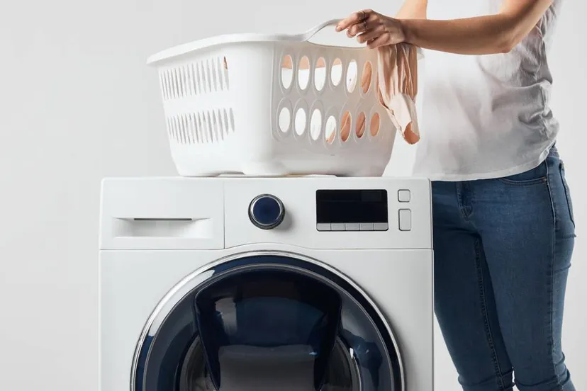 250706wasmandwasmachine