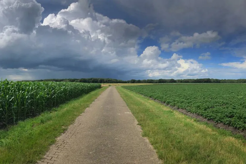 250709WOLKEN