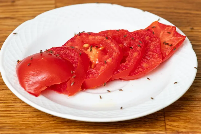250801FRUITVLIEGEN