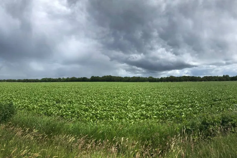 250801REGENWOLKEN