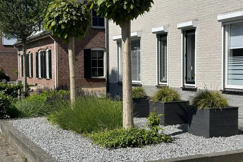 250806VOORTUIN