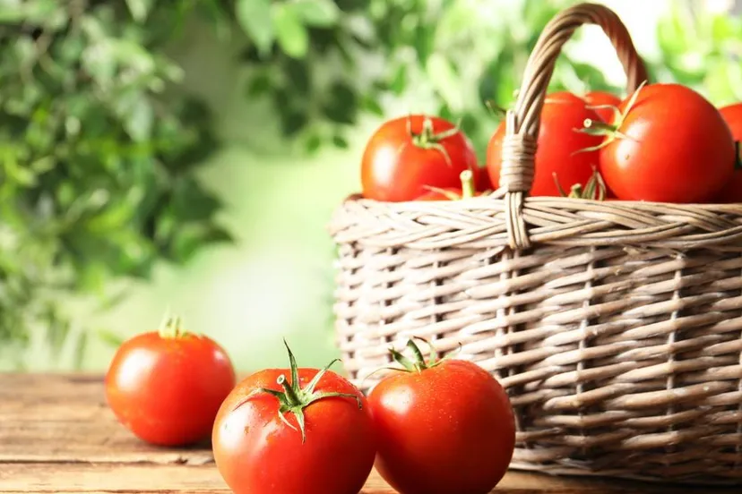 250902TOMATEN