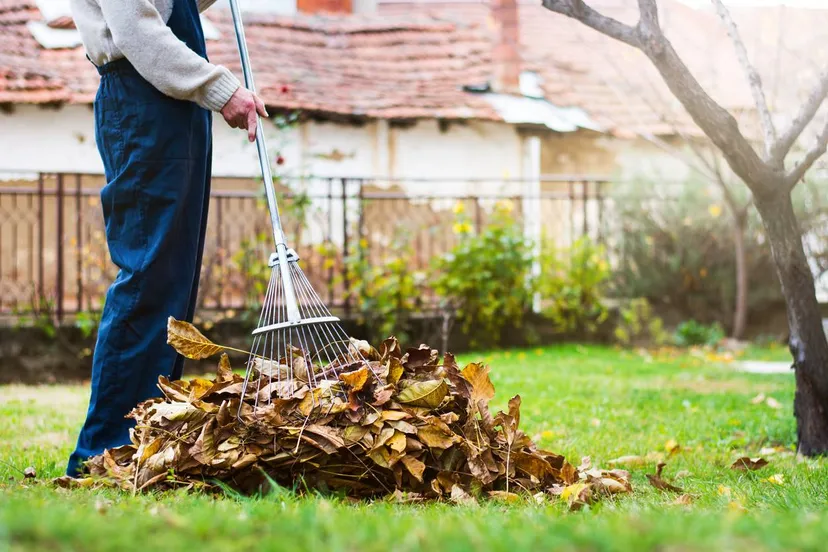 iStock-1033111894