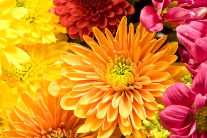 iStock-471112733