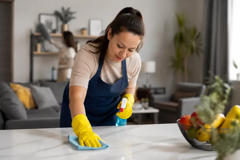 Huishoudhulp