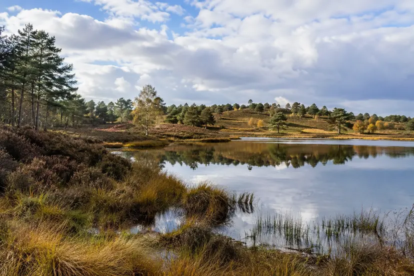 Natuur
