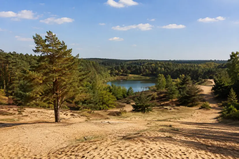 Natuurgebied