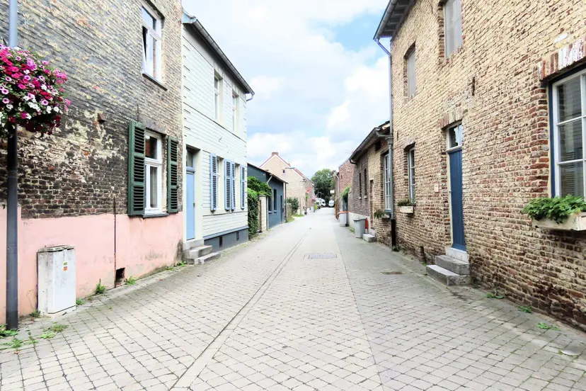 San Lavie
