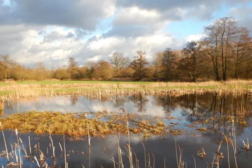 Natuur en bos