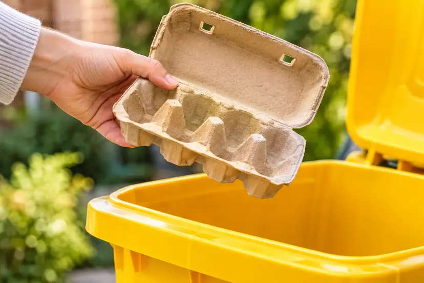 Recycling Egg Carton in Yellow Bin