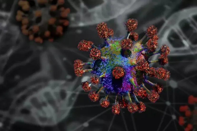 2020 03 04 coronavirus 4885735 960 720