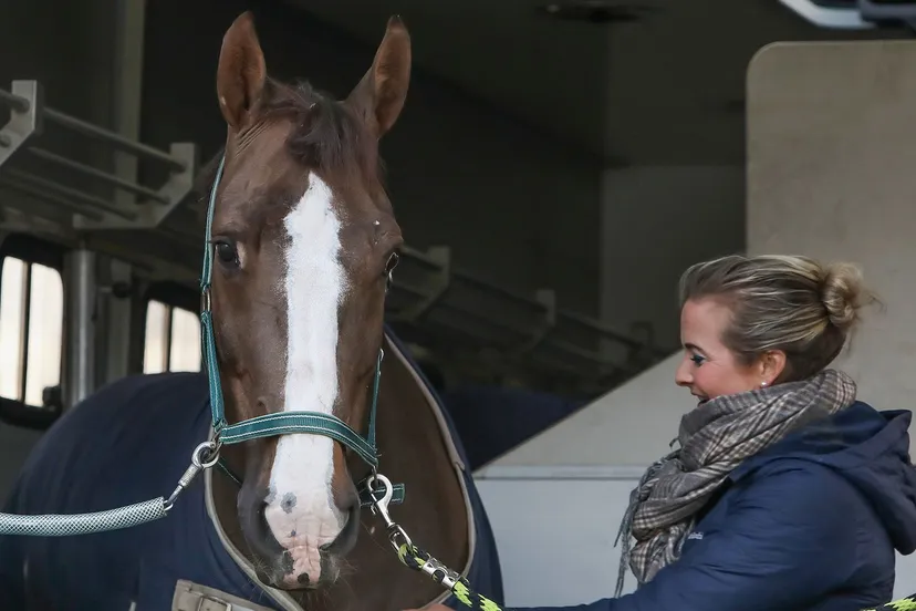 2023 03 04 jin juming indoorr007 1