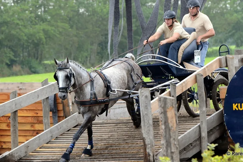 c6con82a0kt9q29hjjlw7psm1 2014 09 08 elsbeth broekhuis karen stork 60 klein