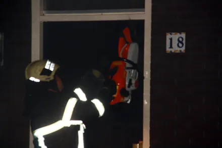 enx5nw2e40gqprs1v847qvfiw 97635