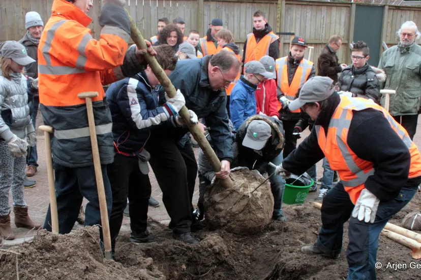 fv8tp6moo2rdppm26q73qgxlo 2014 03 10 boomplantdag 2013