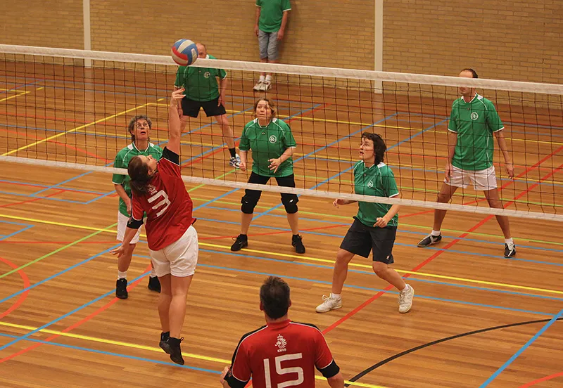 gaaizbety6vooajfgjq2gid1w 204418