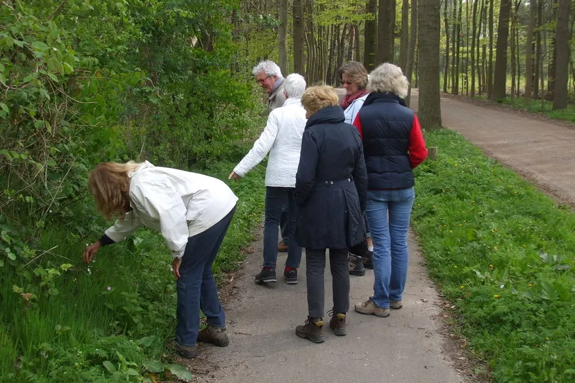 jgkzciurivly335qo6rki4j4i 2014 06 24 natuurlijk bewegen