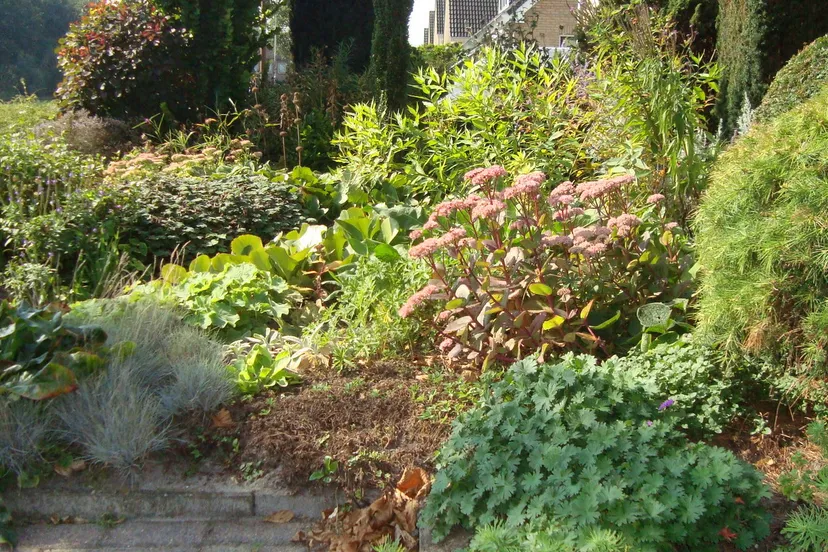 kjqwowui6agwff8m3zdg6v1j3 2013 11 07 groei en bloei nveen