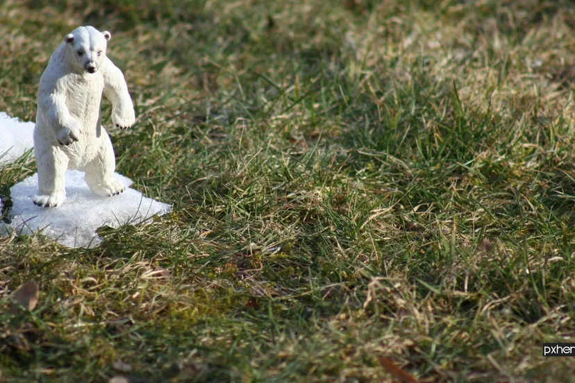 l2022 03 29 klimaatveranderinmg andscape nature grass snow abstract lawn 1126066 pxhere