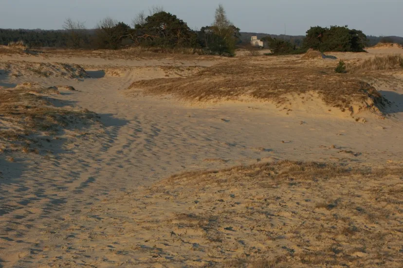 l34zzh9hox21lzczgn0j2f0il 2014 03 17 ivn kootwijkerzand 1